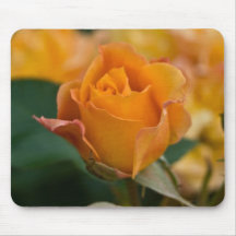 Orange Rose DSC3450 Mouse Pad