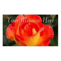 Orange Rose Floral Business Card