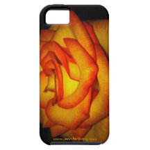 Orange Rose iPhone 5 Case