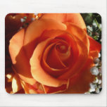 Orange Rose mousepads