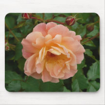 Orange-rose mousepad