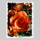 Orange Rose posters