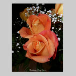 Orange Rose posters