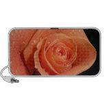 Orange Rose Speaker speakers