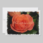 Orange Rose You are invited invitations
