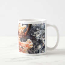 Orange Sea Sponge Coffee Mug