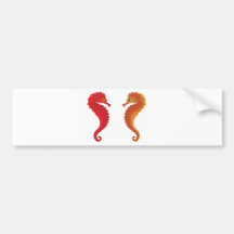 orange seahorses bumper sticker