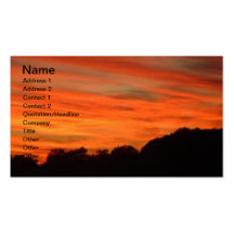 Orange Sky Landscape Business Card