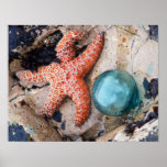 Orange star and aqua float print