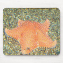 orange starfish mousepad