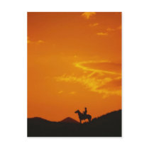 Orange Sunset with Cowboy Silhouette Post Card