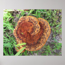 Orange Swirl Mushroom Posters