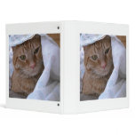 Orange Tabby Cat binders