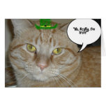 Orange Tabby Cat