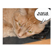 Orange Tabby Cat Humour Post Cards