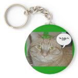 Orange Tabby Cat