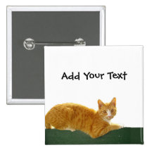 Orange Tabby Cat on Green Fence Pinback Button