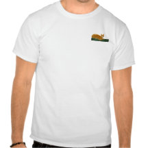 Orange Tabby Cat on Green Fence T Shirts