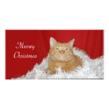 Orange tabby Christmas Customized Photo Card