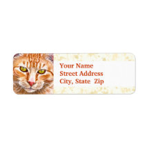 Orange Tabby Painting Custom Return Address Labels