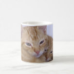 Orange Tabbys Mugs