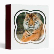 Orange Tiger Binder