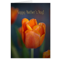 Orange Tulip Mother's day card with text