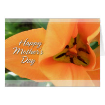 Orange Tulip Mother's Day Cards