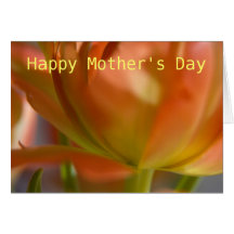 Orange Tulip • Mother's Day Greeting Card