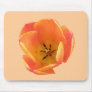 Orange Tulip Mousepad
