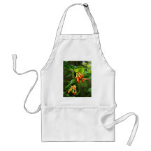 Orange Wildflower artwork Aprons