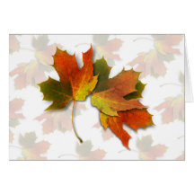 Orange & Yellow  Fall Leaves Greeting Cards