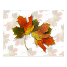 Orange & Yellow  Fall Leaves Postcard