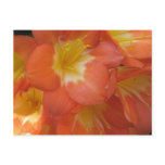 Orange & Yellow Flowers at Longwood Gardens, PA postcards