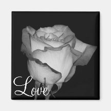 Orange-Yellow  Rose Refrigerator Magnet