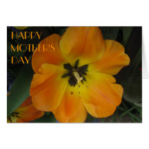 Orange/Yellow Tulips 2, Mother's Day Greeting Card