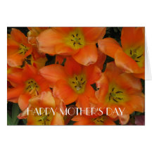 Orange/Yellow Tulips 3, Mother's Day Greeting Card