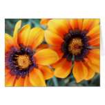 orange you sweet greeting card