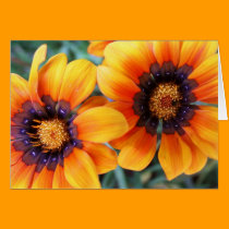 orange you sweet cards