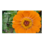 Orange Zinnia Business Card Template