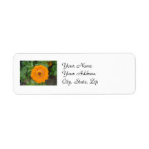 Orange Zinnia Custom Return Address Labels