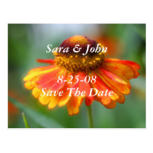Orange Zinnia Save The Date Wedding Postcard
