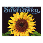 Orangedale Sunflower Vintage Fruit Crate Label Art Post Cards