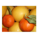 Oranges and Lemons Postcards