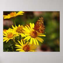 Oranges and yellows print