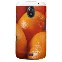 ORANGES FRESH FRUIT HEALTHY BUNCHES PHOTOGRAPHY FO GALAXY NEXUS CASE