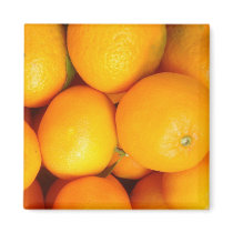 oranges refrigerator magnets