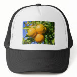 Oranges on a tree trucker hats