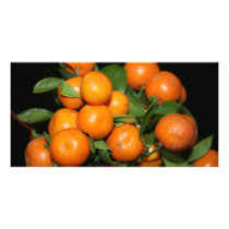 Oranges