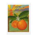 Oranges postcard